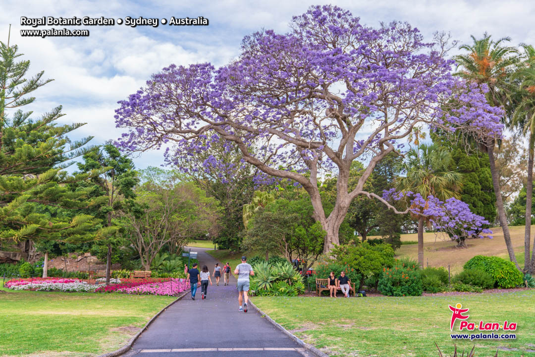 Royal Botanic Gardens